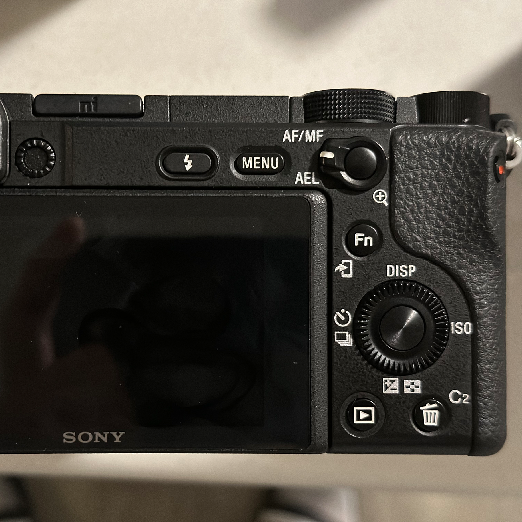 Camera reference back